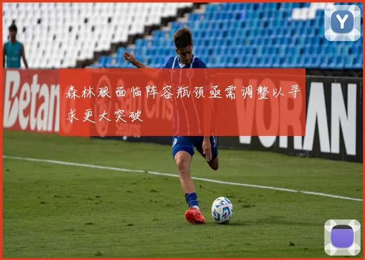森林狼面临阵容瓶颈亟需调整以寻求更大突破